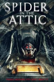 watch Spider in the Attic free online