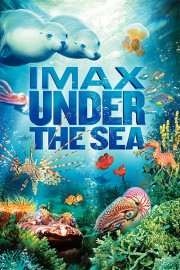 watch Under the Sea 3D free online