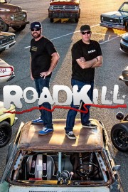 watch Roadkill free online