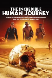 watch The Incredible Human Journey free online