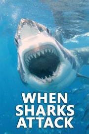 watch When Sharks Attack free online