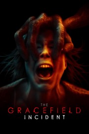 watch The Gracefield Incident free online