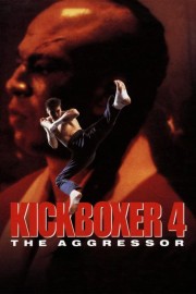 watch Kickboxer 4: The Aggressor free online