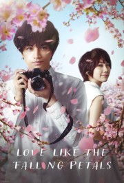 watch Love Like the Falling Petals free online