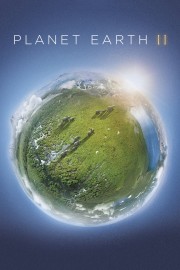 watch Planet Earth II free online