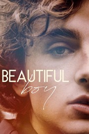 watch Beautiful Boy free online