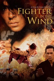 watch Fighter In The Wind free online