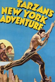 watch Tarzan's New York Adventure free online