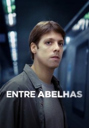 watch Entre Abelhas free online