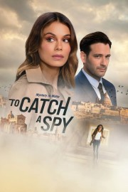 watch To Catch a Spy free online