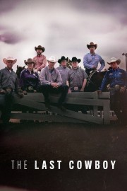 watch The Last Cowboy free online