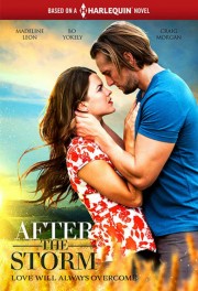 watch After the Storm free online