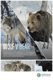 watch Wolf vs Bear free online