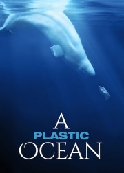 watch A Plastic Ocean free online