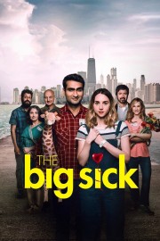 watch The Big Sick free online