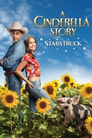 watch A Cinderella Story: Starstruck free online