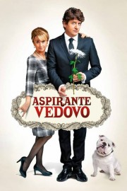 watch Aspirante vedovo free online