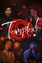 watch Tempted free online