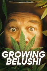 watch Growing Belushi free online