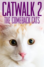 watch Catwalk 2: The Comeback Cats free online