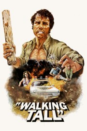 watch Walking Tall free online