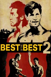 watch Best of the Best 2 free online