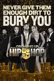 watch Growing Up Hip Hop free online