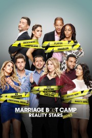 watch Marriage Boot Camp: Reality Stars free online