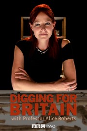 watch Digging for Britain free online