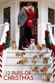 watch 12 Pups of Christmas free online