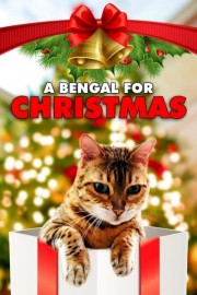 watch A Bengal for Christmas free online