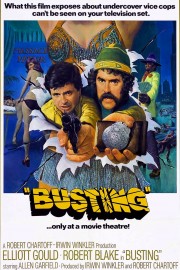 watch Busting free online