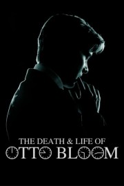 watch The Death and Life of Otto Bloom free online