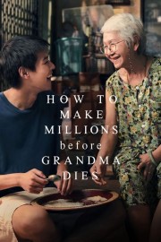 watch How to Make Millions Before Grandma Dies free online