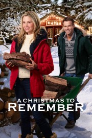 watch A Christmas to Remember free online