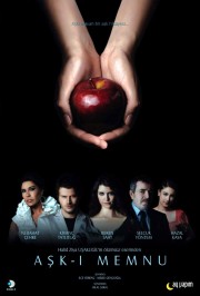 watch Forbidden Love free online