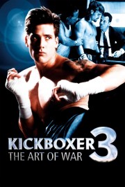 watch Kickboxer 3: The Art of War free online