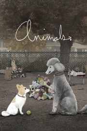 watch Animals. free online