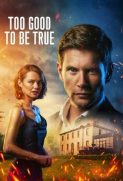 watch Too Good To Be True free online