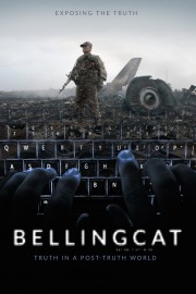 watch Bellingcat: Truth in a Post-Truth World free online