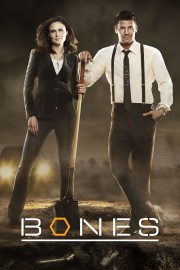 watch Bones free online