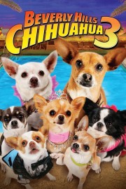 watch Beverly Hills Chihuahua 3 - Viva La Fiesta! free online