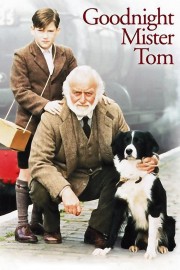 watch Goodnight, Mister Tom free online