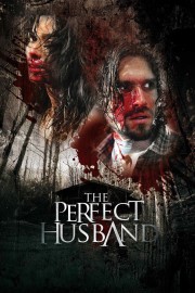 watch The Perfect Husband free online