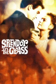 watch Splendor in the Grass free online