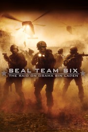 watch Seal Team Six: The Raid on Osama Bin Laden free online