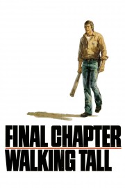 watch Final Chapter: Walking Tall free online