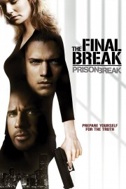 watch Prison Break: The Final Break free online