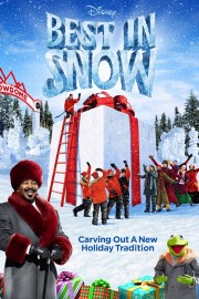 watch Best in Snow free online