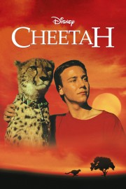 watch Cheetah free online